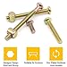 FamlTol 54-Set Crib Screws, Furniture Screws and Nuts Kit, Bed Frame M6 x 16mm/ 20mm/ 25mm/ 30mm/ 40mm/ 50mm/ 60mm/ 70mm/ 80mm Barrel Nut & Wooden Dowel Assortment Kit
