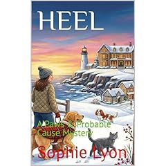 HEEL Audiolibro Por Sophie Lyon arte de portada
