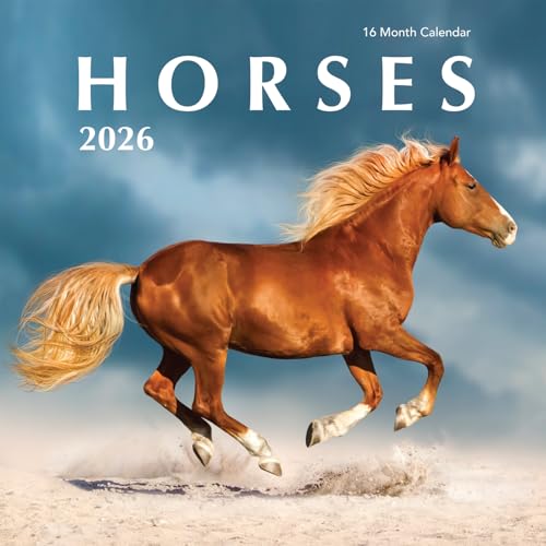 2026 n Ǌ|J_[ - 12C` ty[W  n ʐ^ Mtg 킢 ȃ|j[ }X^O  ʐ^ - ƌv (2026 n)