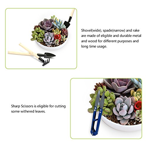 Set de 14 herramientas mini para plantas suculentas miniatura 4