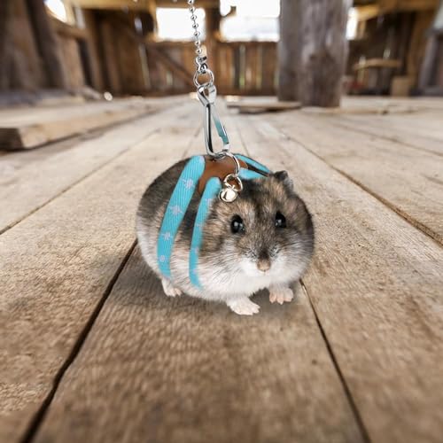 Image of Hamster Harness,80cm /31.5in Adjustable Small Animal Training Leash Harness Chinchilla Vest and Leash Set Soft Animal Pet Rope Harness for Small Pet Outdoor Walking(Blue)
