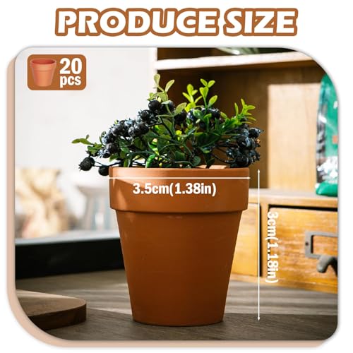  20 Pezzi Terracotta Pot Vasi Ceramiche per Pianta Interna ed Esterna
| Vasi Terracotta Piccoli con Foro di Scarico per 