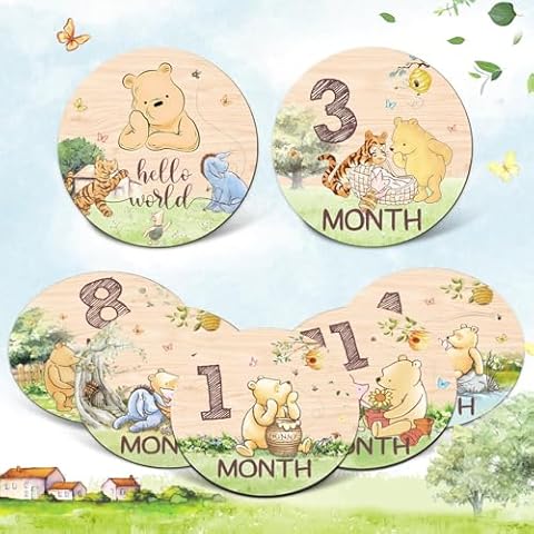 Winnie Bear Baby Month Milestone Circles, Wooden Discs Stuff for Baby Photo Takens with Hello World Name Signs - 7Pcs Double Sided Signs for Documenting Growth Cover
