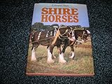  Shire Horses