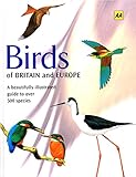 Birds of Britain and Europe (AA Illustrated Reference)