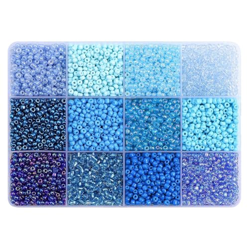 ZORESCOLEO Juego de cuentas acrílicas de 12 compartimentos, juego de cuentas sueltas portátiles, joyas, manualidades, cuentas acrílicas, textura, accesorios de joyería