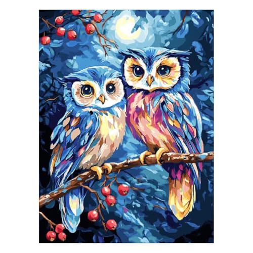 �������G ���� �G�� ��|�L�b�g �y�C���g�o�C�i���o�[ �t�N���E ����L�b�g �� �A�N�����G�̋� �M �L�����o�X 60 x 80cm �E�H�[���A�[�g ��� �L�����o�X�G��p�L�����r���O���[���Q���̉Ƃ̑��� �Ǐ��� �M�t�g JLYH-9548