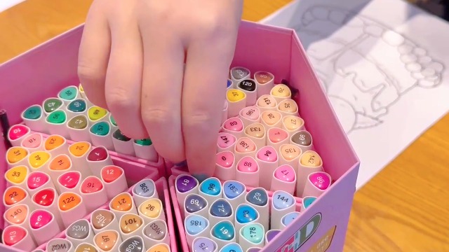 Amazon.com: XIEED [2025 Upgraded Alcohol Markers, 120 Colors