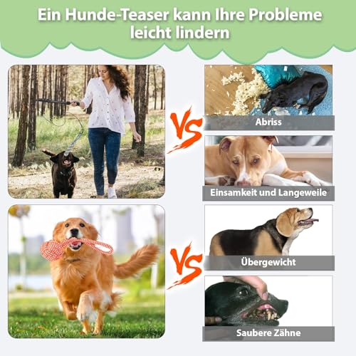 REDKNOT 12 Stück Reizangel Hunde Profi Ausziehbar Interaktive Hundespielzeug mit 2 Tauen, 8 Hund Kauspielzeug Springspielzeug mit Lautes Papier, Glocken für Kleine Große Hunde Haustier Auslastung