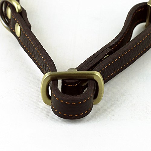 Chede Luxury Real Leather Dog Collar- Handmade For Small Dog Breeds With The Finest Genuine Leather Collar That Is Stylish,Soft Strong And Comfortable-Brown Dog Collar #TOP3