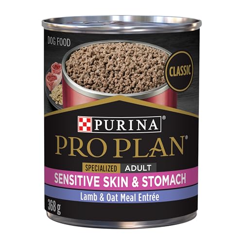 10 Best Dog Food Products A Comprehensive Buying Guide for Dog Owners