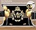 VIP Birthday Backdrop for Birthday Party Decorations MEETSIOY Golden Balloon Black Gold Theme Background for Party Decorations Banners 7x5ft HXMT191