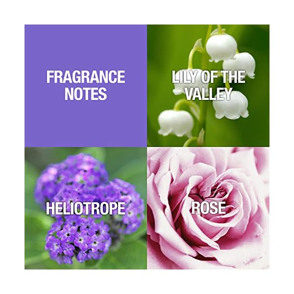 Paul Sebastian Women's Perfume, Fragrance by Paul Sebastian, Day or Night Scent, Eau de Parfum, CASUAL, 4 Fl Oz