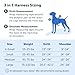 PetSafe 3 in 1 Dog Harness - No Pull Solution for Dogs - Reflective Dog Harness - Front D-Ring Clip Helps Stop Pulling - Comfortable Padded Straps - Top Handle Enhances Control - Plum - Extra Small