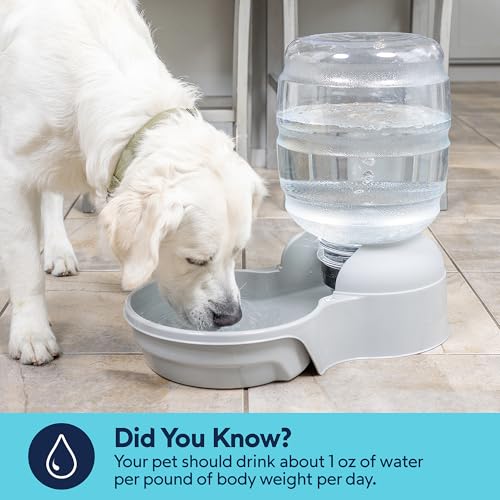 Image of Petmate Aspen Pet Lebistro Cat and Dog Water Dispenser, Made in USA