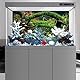 MIRRORANG 61x41cm Aquarium Hintergrund Zweige Terrarium Hintergrund Wasserpflanze Flussbett & See Aquarium Hintergrund Vinyl Hintergrund