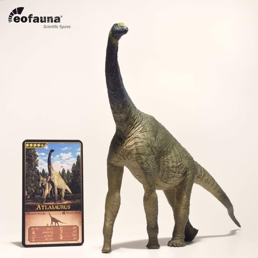 Eofauna 1:40 Scale Atlasaurus Statue Saurischia Dinosaur Figure