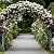 RUBFAC 7.8ft Metal Wedding Arch Frame, White Garden Trellis for Climbing Plants Outdoor, Garden Arbors and Arches Party Archway for Flower Rose Vines Birthday Bridal Christmas Decoration