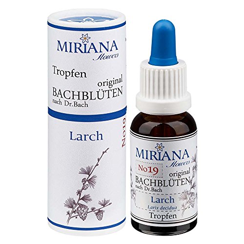 MirianaFlowers Larch 20ml Bachblüten Stockbottle thumbnail