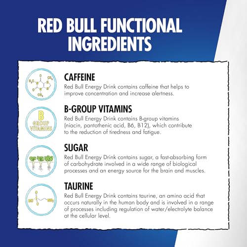 Red Bull Winter 2025 Edition 250ml 12pk