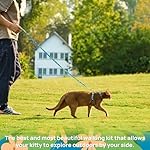 Cat Harness and Leash Set - Escape Proof Adjustable Cat Harness, Comfortable Soft Lightweight, Use Safe & Easy, Walking Travel Kitten Harness for Small Medium Large Cats (Hawaii Green) - Image 2