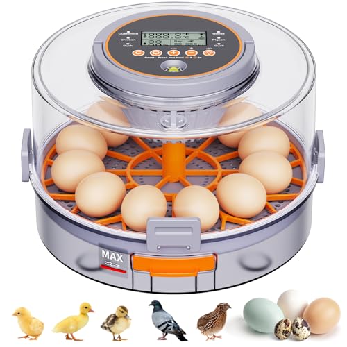 QMKGEC 12 Egg Incubators for Hatching Eggs for Home Classroom and Lab