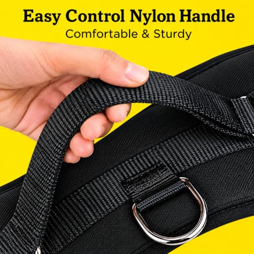 Image of No Pull Dog Chest Belt Harness, Comfortable & Adjustable Size for 24-35 Kg Pet (Orange, Large)