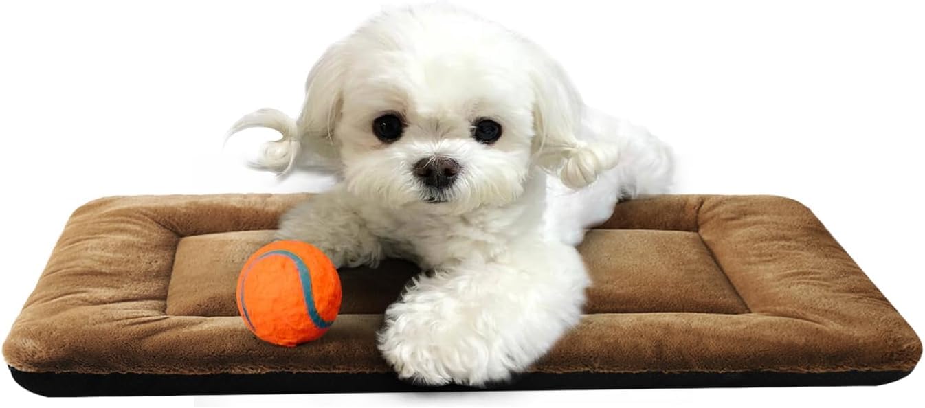 Furry Land Large Size Dog Bed Mat for Large Size Dog and Cat Super Soft Dual Color Brown Black Anti Skid Machine Washable Dog Mat (B0D2NZZFXS) Amazon Price History, Amazon Price Tracker