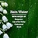 MRS. MEYER'S CLEAN DAY Hand Soap, Rain Water Scent, 12.5 Fl Oz Bottle - 3 Pack