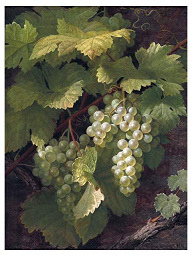 Still Life Green Grapes By William Hammer Accent Tile Mural Kitchen Bathroom Wall Backsplash Behind Stove Range Sink Splashback One Tile 6"X8" Ceramic, Matte #TOP29