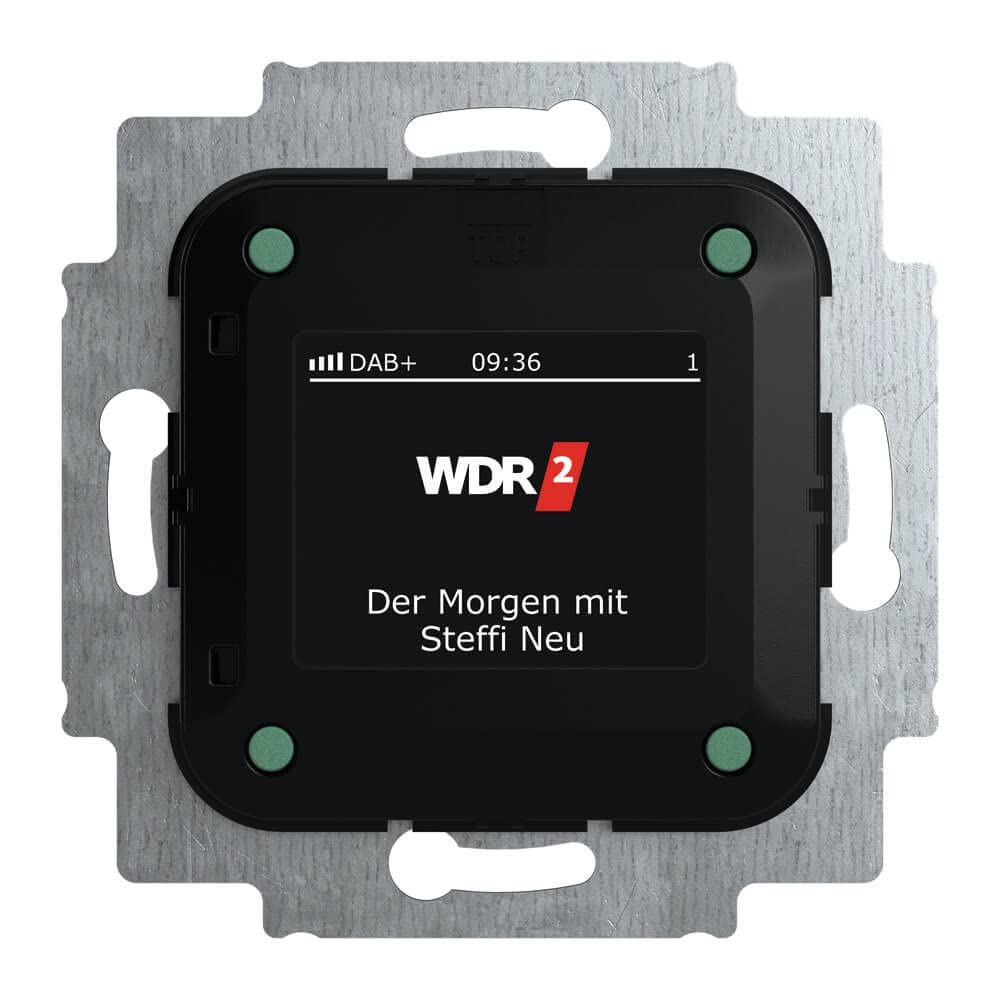 Busch-Jaeger 1789-1979 Façade D'autoradio