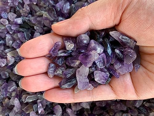Image of GAF TREASURES 2 oz Lot Natural Semi Amethyst Tumbled Gemstone Chips, Crushed Mini Crystals, Undrilled Crystal Chips (Amethyst)