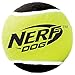 Nerf Dog Tennis Ball Dog Toy with Interactive Squeaker, Lightweight, Durable and Water Resistant, 2 Inches, for Small/Medium Breeds, Three Pack, Assorted Colors