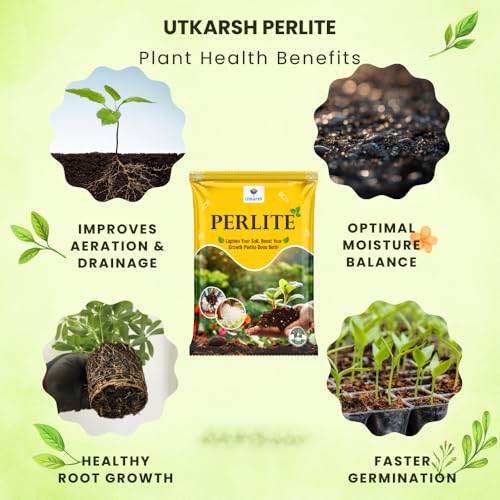Image of Utkarsh Perlite for Plants Growth, Home Terrace Garden, Indoor & Outdoor Plants, Hydroponics & Horticulture, Conditioner for Potting Soil Mix, Enhances Drainage & Aeration (250 gm; Pack of 1)