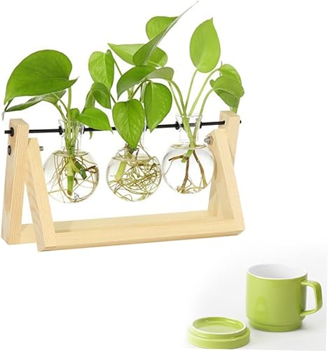 Miniatura 6 de Artibetter Decoración de madera Soporte para plantas de mesa, soporte transparente, maceta de vidrio de mesa, maceta de aire de vidrio, bulbo,