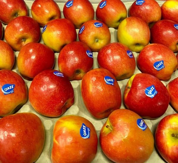 BAMELO® Äpfel Jazz Apfelbox 3 Kg.