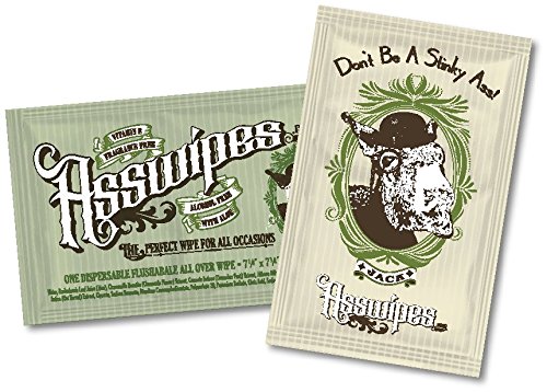 ASSWIPES To Go Single Packets! Everyday Flushable Bathroom Wipes with Aloe and Vitamin