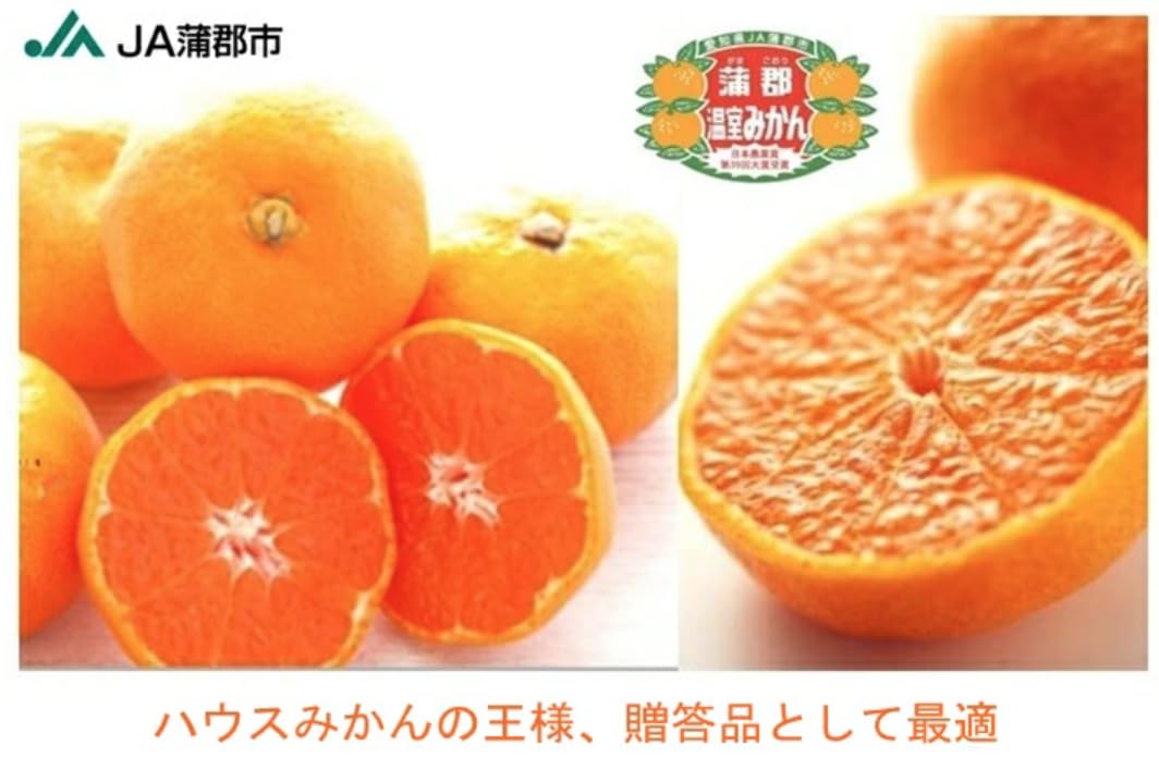 Amazon.co.jp: 愛知産 蒲郡温室みかん(ハウスみかん) Mサイズ 秀品