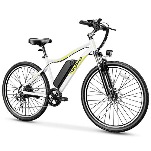 Heybike Race Electric Bike