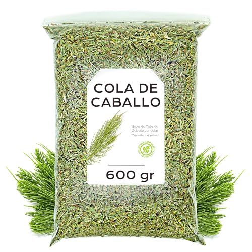 Cola de Caballo Infusión 600 gr - Té de Cola de Caballo a Granel - Propiedades Naturales - Infusiones de Hierbas (600 gr)