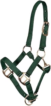 Dura-Tech Nylon Foal Halter for Horses | Adjustable Nose & Throat Snap | Fits Newborn Foals, Weanlings & Small Yearlings