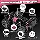 Ferngesteuertes Auto Mädchen ab 6 8 10 Jahre, 1:18 Offroad RC Auto, 36+km/h RC Car, 2,4 GHz All Terrain Remote Control Car, 4WD RTR Ferngesteuerte Autos Erwachsene Kinder (Pink)