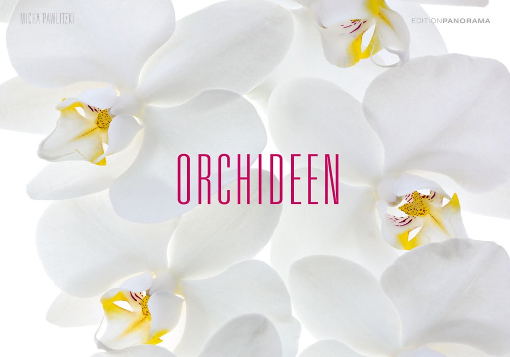 Orchideen - Magnum Kalender immerwährend