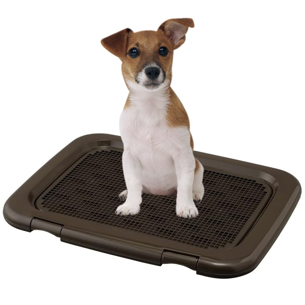 Amazon | アイリスオーヤマ(IRIS OHYAMA) 犬 トイレ メッシュカバー付