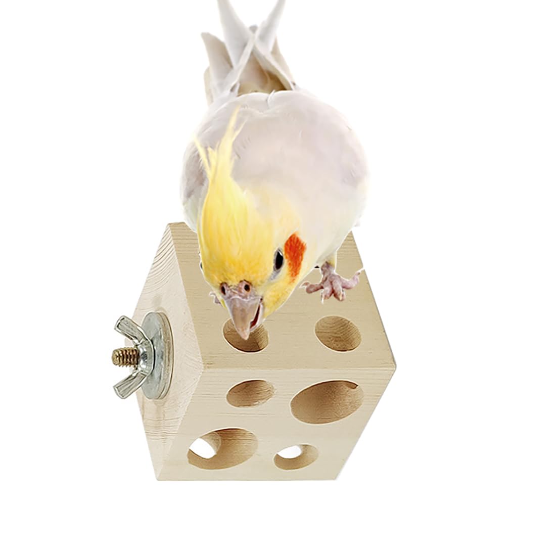 YJJKJ Natural Wood Bird Chew Toys, Parrot Chew Toys, Parakeet Hanging Toy, Bird Perch Stand Toy for Parakeet Conure Cockatiel Parrotlet Lovebird Budgie (Square), brown