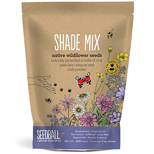 SEEDBALL Shade Mix Wildflower Seed Bombs - 100 Seed Balls Per Pack | Bee Friendly Clay Balls with Native British Seeds for Shady Gardens, Pots & Balconies for Autumn & Spring - Easy No-Dig Planting