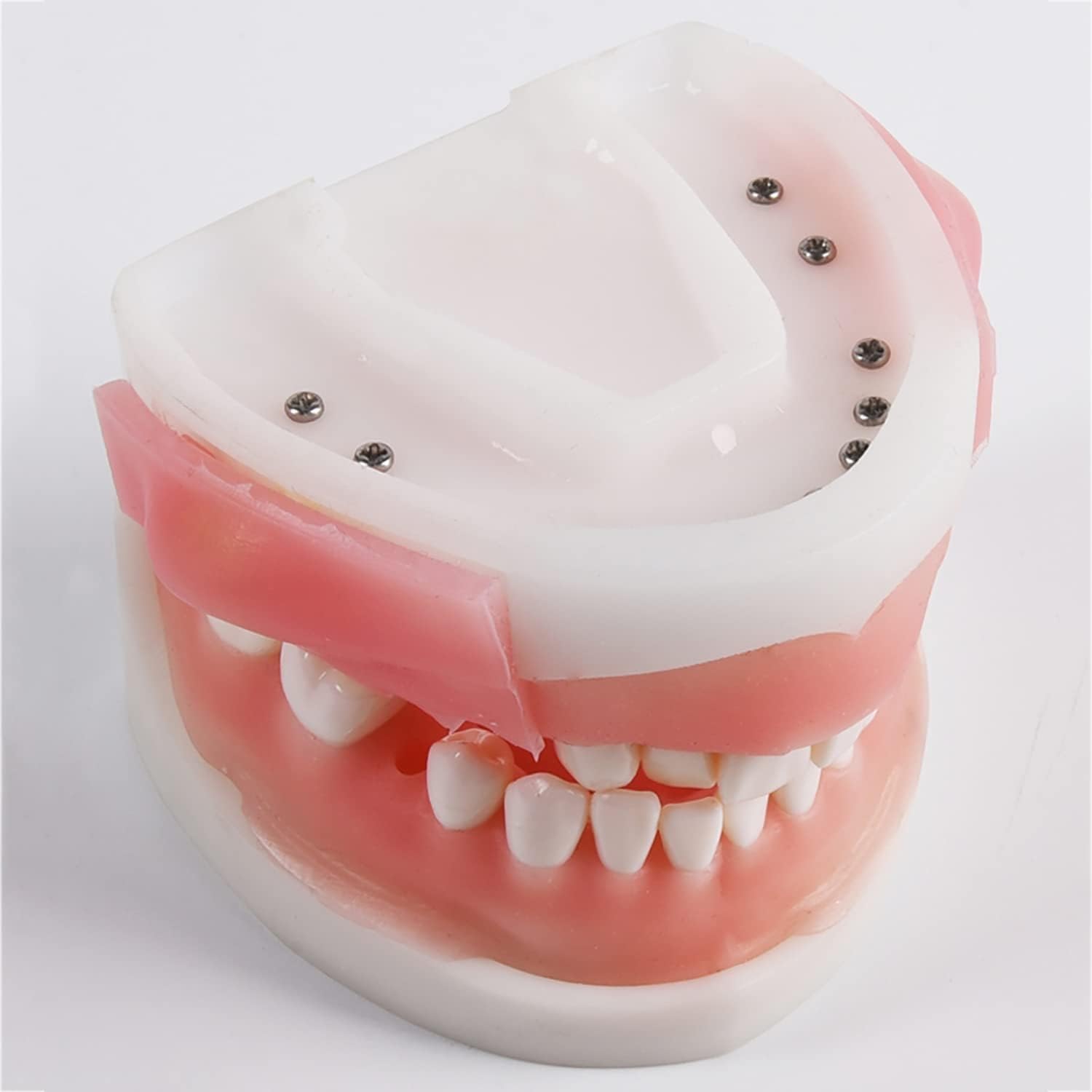 Modello didattico, kit di sutura dentale, kit di modelli di sutura orale simulata, kit di formazione chirurgica sulla sutura cutanea, set di pratica chirurgica chirurgica for studenti di medicina e od