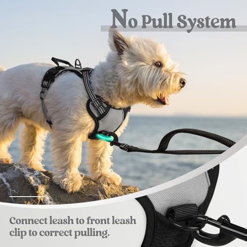 Image of rabbitgoo Dog Harness No Pull with 2 Leash Clips, Adjustable Soft Padded, Reflective Oxford No Choke Pet Vest with Easy Control Handle for Puppy, Grey, XS