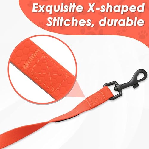 Looxmeer Guinzaglio Addestramento per Cani