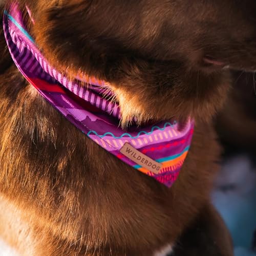 Image of Wilderdog Dog Bandana with Lightweight Quick Drying Poly-Blend Mesh Material in Dawn